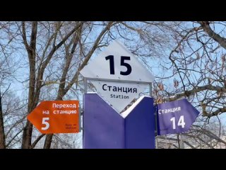 Шимпанзе из ростовского зоопарка впервые увидели снег. Речь идет о Хаусе, Варе, Тайсоне и Элисе.   Обезьяны проявляли... (видео)