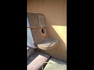 Доброе утро, Ростов! (видео)