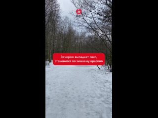 Картинки со смыслом или без... (видео)