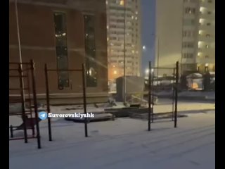 На Суворовском заметили зайчика 😍 (видео)