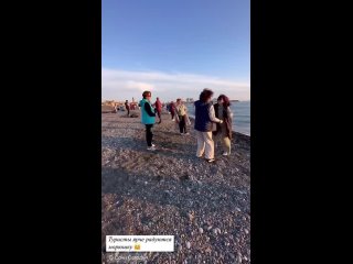 Моё настроение никому ничего не должно -  