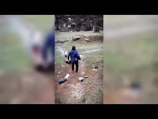 {СМЕШНЫЕ ПРИКОЛЫ} СМЕШНО ДО СЛЕЗ 😂 22 Минуты ОТБОРНЫХ Русских приколов МАЙ 2024 Смешные видео - Лучшие ПРИКОЛЫ