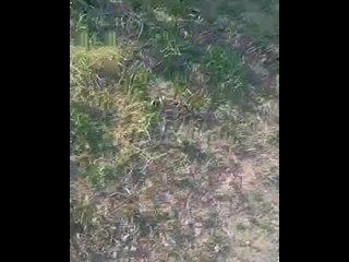 «Ребята, как вам?! Я в первых рядах!!!» — далеко не все жители Владимирской области испугались из-за взрыва в Киржаче  ... (видео)