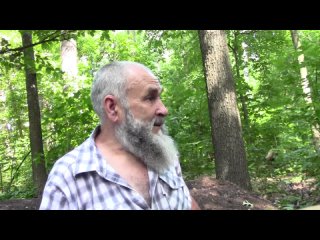 Значение лесополос в борьбе с засухой. Чернозём обыкновенный в лесополосе