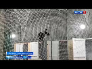 В анапском селе Витязево проходят реабилитацию более 80 птиц, пострадавших от разлива мазута  В центр реабилитации птиц... (видео)