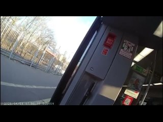 В РЖД прокомментировали обвинения ее сотрудников в том, что пса Блюма, потерявшегося в Красном Бору и отправившегося в... (видео)