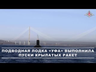 Подводная лодка «Уфа» Тихоокеанского флота в ходе учения в Японском море нанесла удары крылатыми ракетами «Калибр» по... (видео)