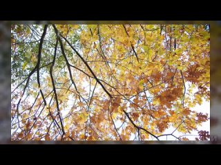 Нет тебя прекрасней_ нет тебя милей - нежная песня для любимой женщины(720P_HD).mp4