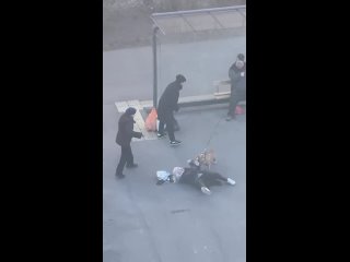 Бойцовская собака напала на пенсионерку и ребёнка  Инцидент произошёл минувшим вечером на автобусной остановке на улице... (видео)