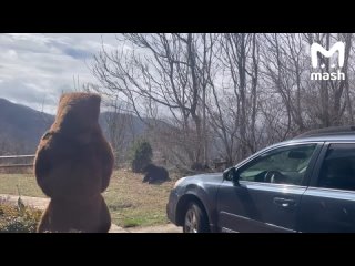 Он сохранился перед выходом что ли? - Артем Кукарский