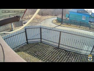 Липовых продавцов антиквариата задержали за серию краж под Новосибирском   Задержанными оказались жители Алтайского... (видео)