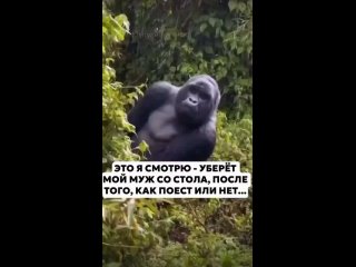 Я так делаю😁 (видео)