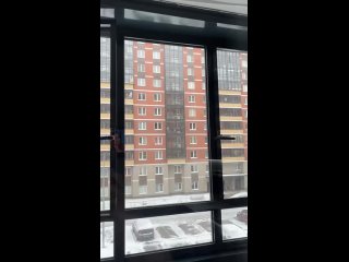 Собаку, похожую на метиса овчарки, заметили на одном из балконов дома №14, корпус 2 на Балканской дороге. Как... (видео)