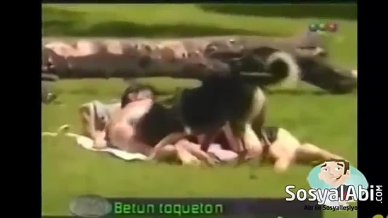 Popocu Sapık Köpek Tacizi -)