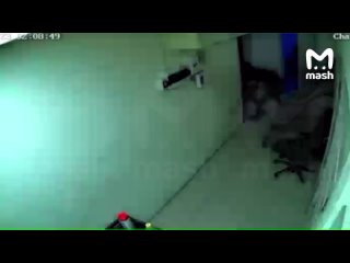 Фанаты Team Spirit и Na'Vi схлестнулись на ножах в компьютерном клубе Краснодара.    Завязалась ссора ещё при розыгрыше... (видео)