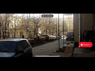 Много вопросов появляется. Где это гнездо? Откуда лезут подобные существа? Почему в зоопарке многие приматы, умнее... - Max Angels