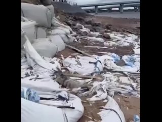 Здорово! Нездорово, что эти пластиковые сумки распадаются, и весь пластик попадает в воду😶🌫 - Татьяна Плотникова