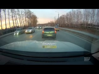 Очередное *сыкло* натворил делов и свалил. - Антон Лавров
