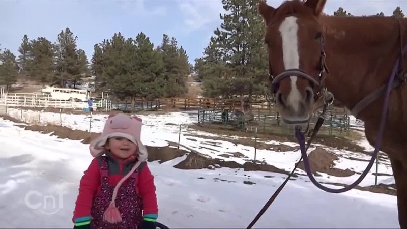 Emma and Cinnamon, Little Girl and Horse Are Best