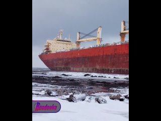 Китайское грузовое судно село на мель на Сахалине — в регионе введен режим повышенной готовности  В Сахалинской области... (видео)