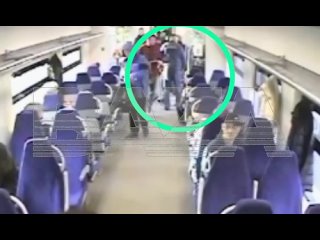 Пса Блюма из «Ласточки» выгонял охранник, подтверждает видео с другой камеры, опубликованное телеграм-каналом Baza.... (видео)