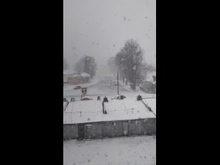 Отлично, мне нравится - Захар Оф