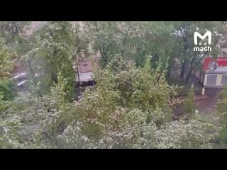 Москву и область накрыл снегопадище. В Лобне упавшие деревья оборвали провода, люди сидят без связи и ТВ. В десятках... (видео)