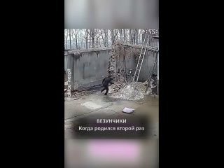 Ангел хранитель сильный, но седой - Юлия Найментаева