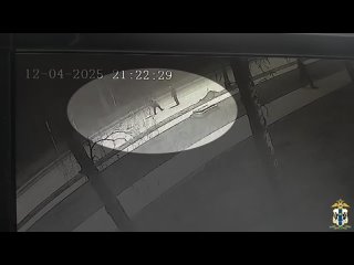 Внимание, розыск!    Отделом полиции №10 «Советский» Управления МВД России по городу Новосибирску разыскиваются... (видео)