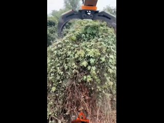 Блин жаль нету денег на то что бы нанять машину такую с оператором, у меня в деревне бы пригодилась такая услуга. - Алексей Щелоков