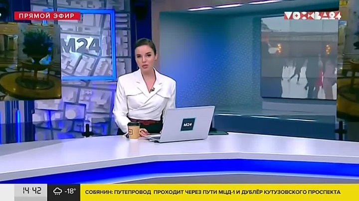 Москва 24, туристическая привлекательность Москвы, Владимир Кривов, последние новости