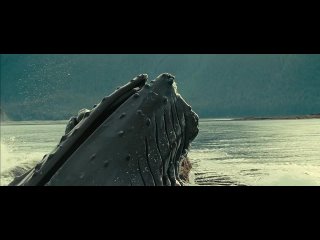 Документальный фильм: Океаны