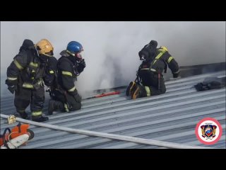 Пожарные Ленобласти тушат возгорание в ангаре на территории свиноводческого комплекса в деревне Нижние Осельки... (видео)