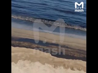 Разлив нефти произошёл на территории нескольких отелей в ОАЭ. Российские туристы жалуются на то, что едкий запах... (видео)