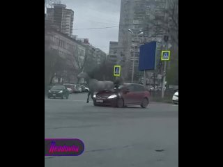 В Хабаровске кто-то опоздал на работу, потому что капот его авто оседлал конь   На перекрестке в Хабаровске «высадился»... (видео)