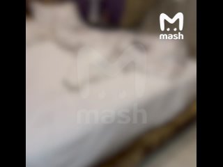 Экс-министр торговли Московской области Михаил Хубутия чуть не убил свою бывшую девушку в Подмосковье. По данным Mash,... (видео)