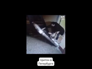 норм выход, брутально, как из ломборджини)) - Тим Мурчик