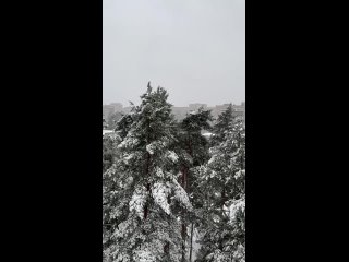 ❄️В Москве снова зима  Благодаря циклону «Зион», за сутки в столице выпадет больше 100% месячной нормы осадков, пишут... (видео)