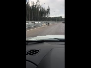 Унюхали 🤣. Весна за окном. Скоро коты орать начнут. - Михаил Светлов