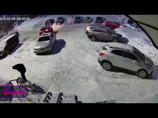 В Мурманске неадекват повалил на землю и избил инвалида с двумя протезами ног    В одном из дворов Мурманска мужчина с... (видео)