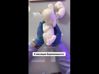 Ребеночек от зачатия до рождения 👶