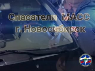 Двухлетний ребенок оказался заперт в машине в Новосибирске  Самостоятельно открыть дверь малыш не смог, также помочь... (видео)