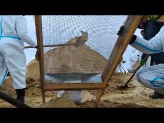 На очистке пляжей в Витязево 7 февраля работает команда из Ростова-на-Дону  Они используют большие сита, с их помощью... (видео)