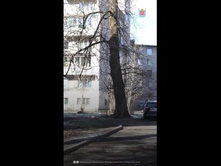 На Тихорецком проспекте в Калининском районе началась реконструкция теплосетей. Устаревшие теплопроводы заменят на... (видео)