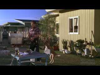 Три желания (1995)