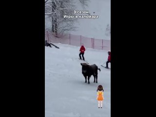🐃 На трассе в Красной Поляне к лыжникам внезапно выбежал бык (видео)