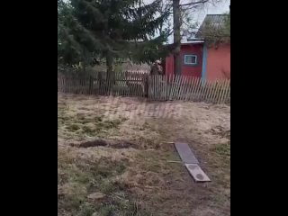 В приморском селе поехавший дед терроризирует округу гимном Украины и кричит, что у него вообще-то есть пистолет    В... (видео)