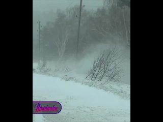 Опять за старое: сахалинские рыбаки снова плюют на метель и МЧС    В районе залива Мордвинова на Сахалине разгулялась... (видео)