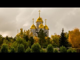 Родина - Сергей Трофимов