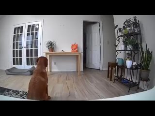 Доброе утро, Ростов! (видео)